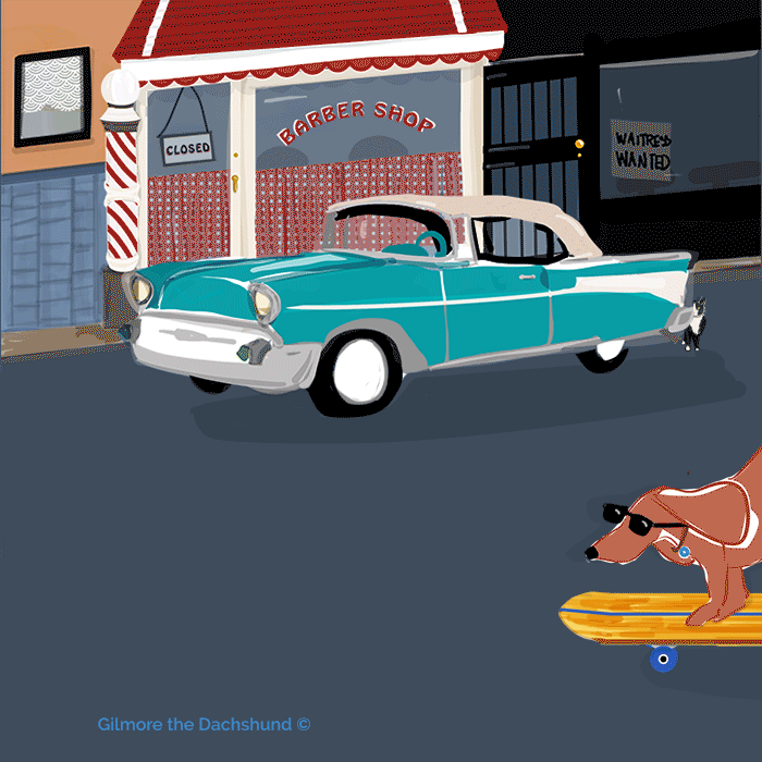 Gilmore the Dachshund © Skateboarding in New York