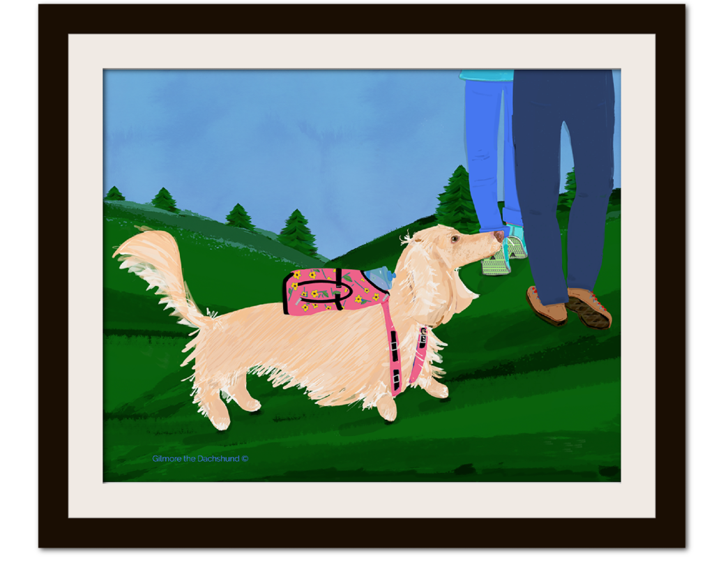 Gilmore the Dachshund © Custom portrait of Chablis
